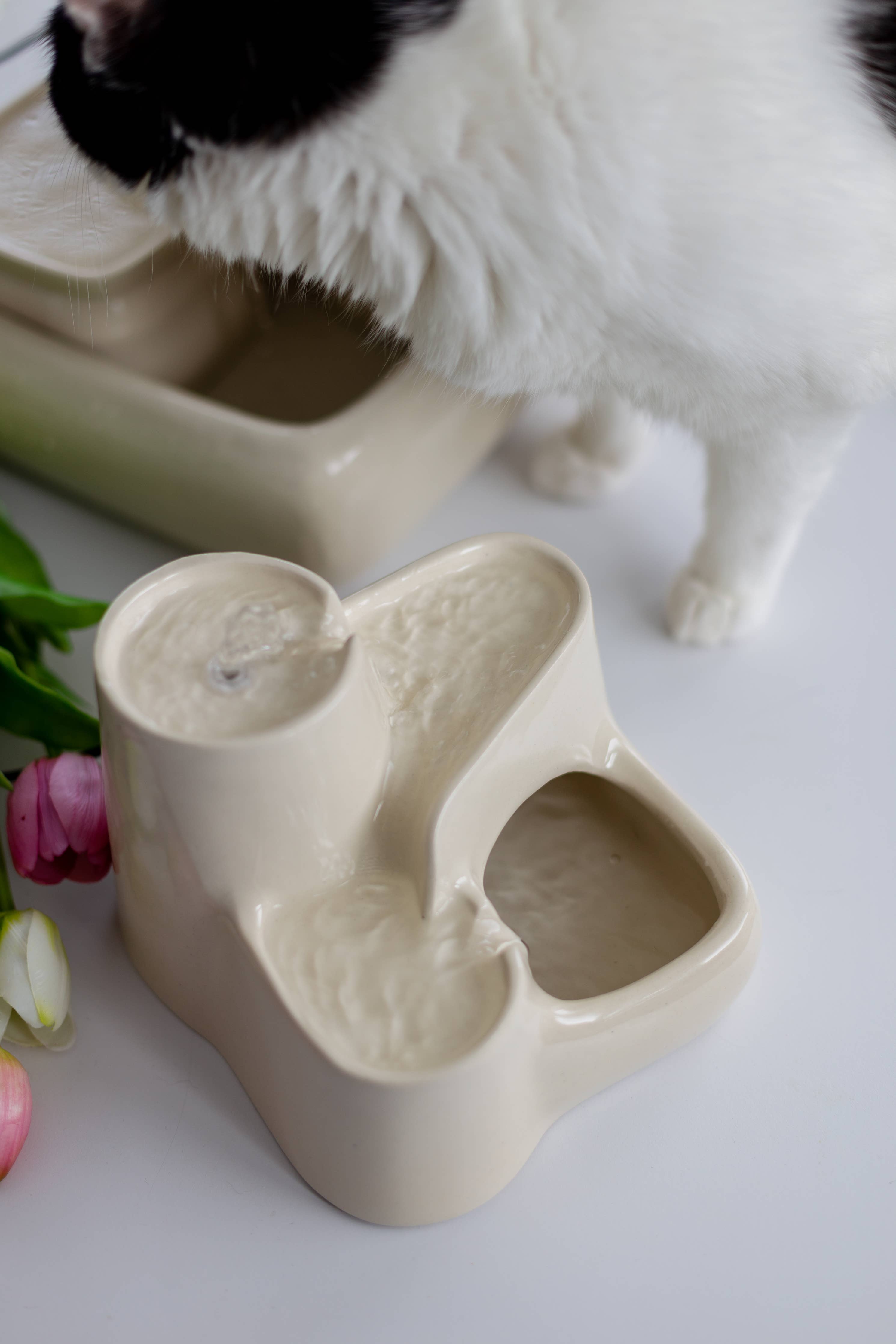 Fontaine en Céramique pour Chat - Couleur Lait