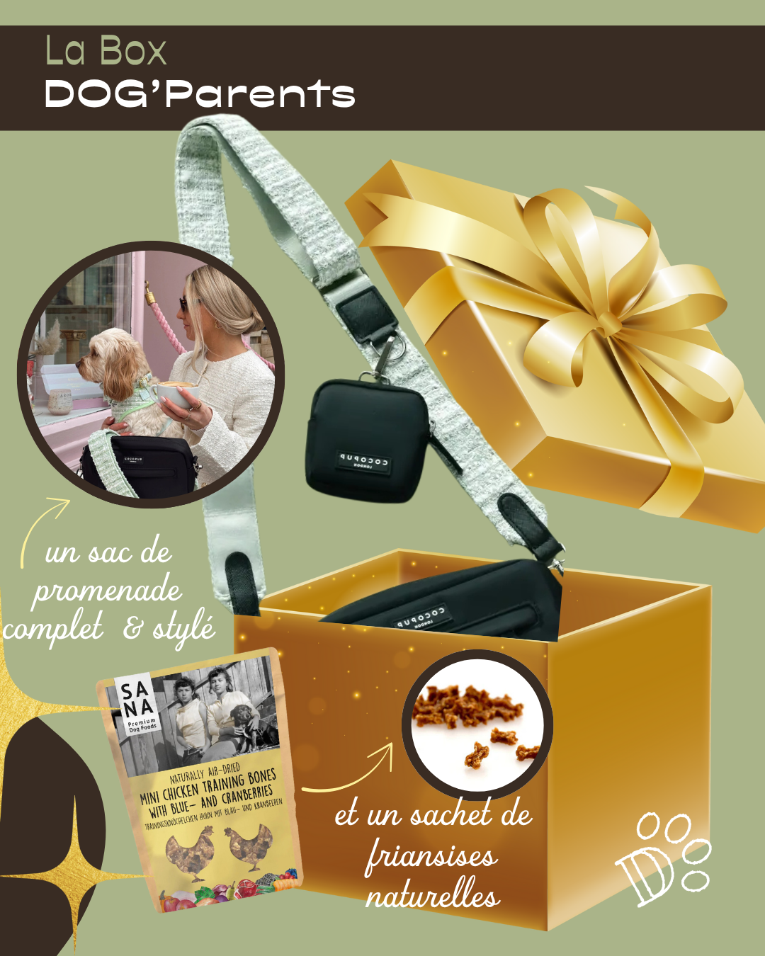 Sac de promenade Cocopup pour chien – coloris assortis