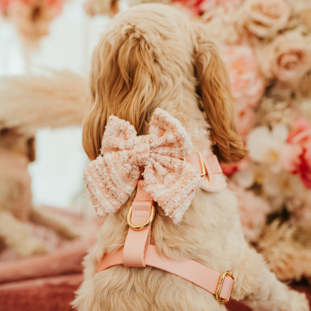 Nœud Papillon Marin pour chien en Tweed Texturé Rose