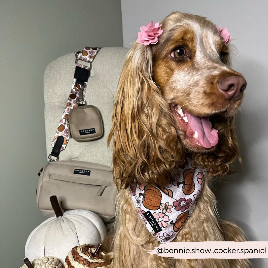 Bandana pour chien Pup-kin Meadow – Chic Automnal