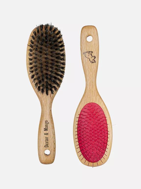 Brosse en Bois Double Face Dexter & Mango chez DOG DELICAT, fabriquée en Allemagne avec du bois de hêtre huilé