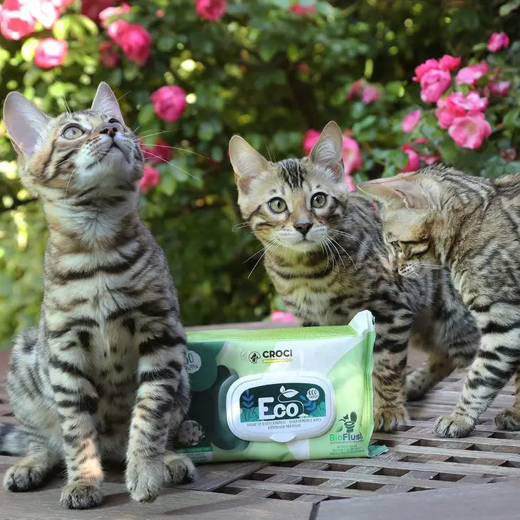 Lingettes Humides Eco PetWipes pour Chiens et Chats - Nettoyez efficacement votre animal tout en préservant l'environnement. Lingettes biodégradables au thé vert et à la chlorhexidine. 30 lingettes par paquet. Fabriqué par Croci®.