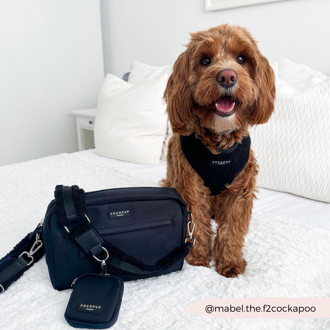Bandoulière de Sac de Promenade pour Chiens - Teddy Baloo
