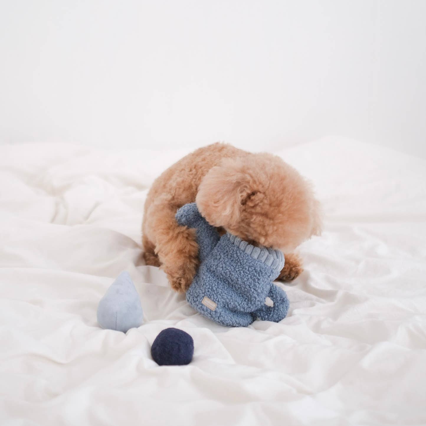 Jouet de fouille Arrosoir 💦 : cachettes à friandises, corde en coton et balle couinante pour un max de fun !