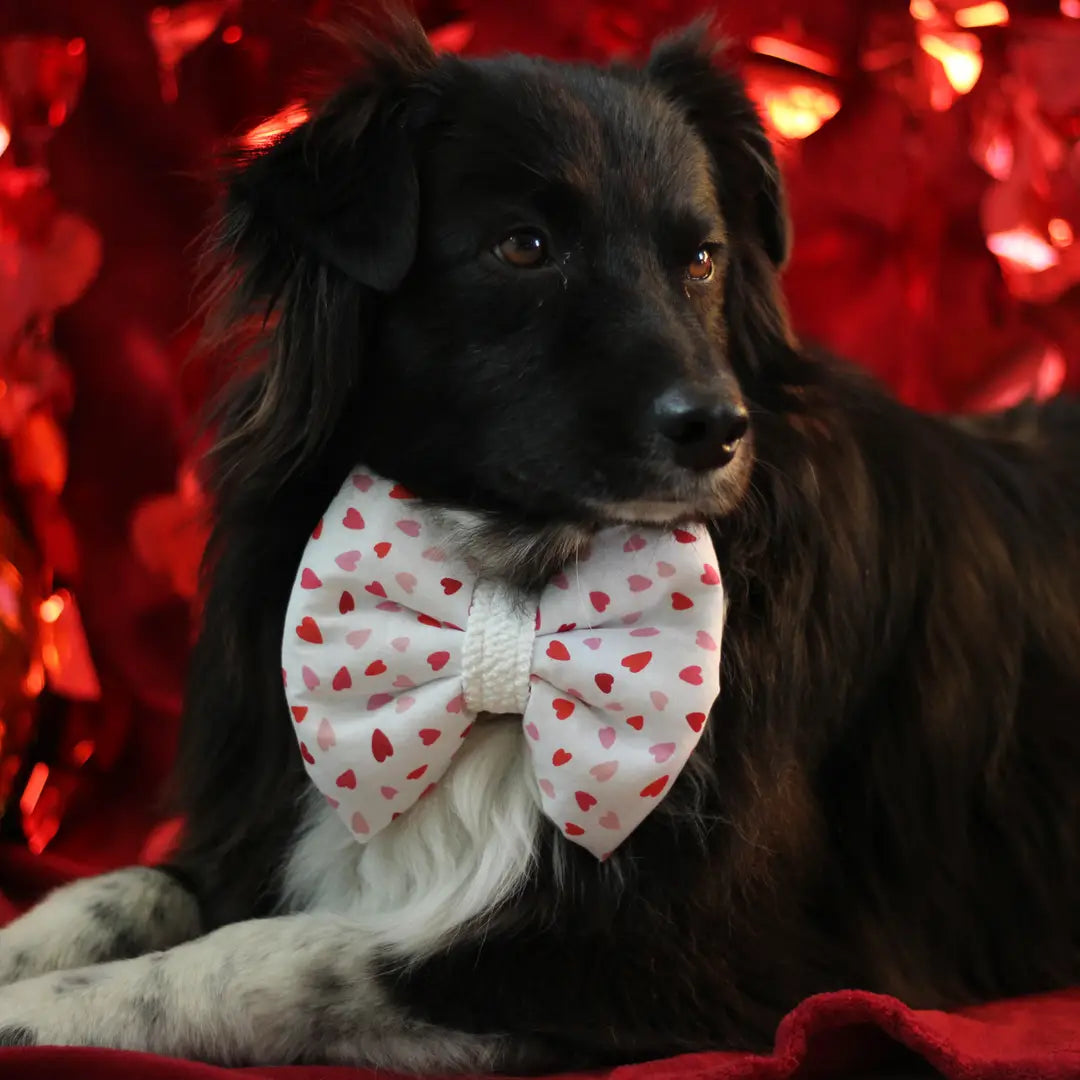Noeuds P’tit Cœur pour Chien - Collection Saint Valentin - Creapimk chez DOG DELICAT
