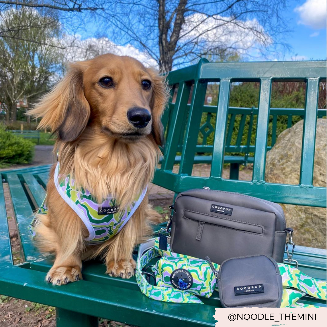 Sac de promenade pour chien - Moka