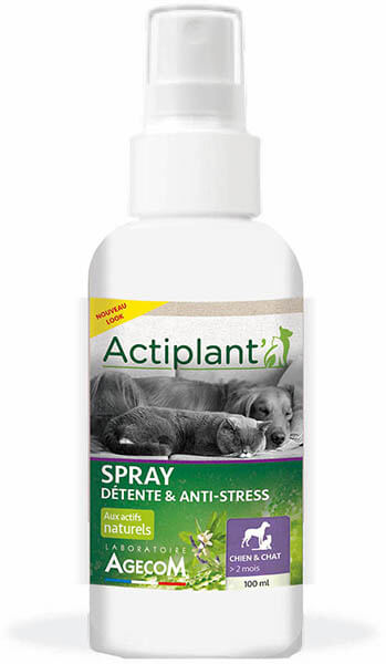 Spray détente & anti-stress Actiplant' pour chien & chat, disponible chez DOG DELICAT. Procurez à votre animal un moment de détente et de bien-être.