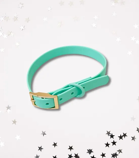 Collier PVC Aquarius Turquoise avec fermoir gold Arizona HotDogs chez DOG DéliCAT