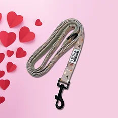 Laisse pour chien en nylon à motifs - Sweet Love