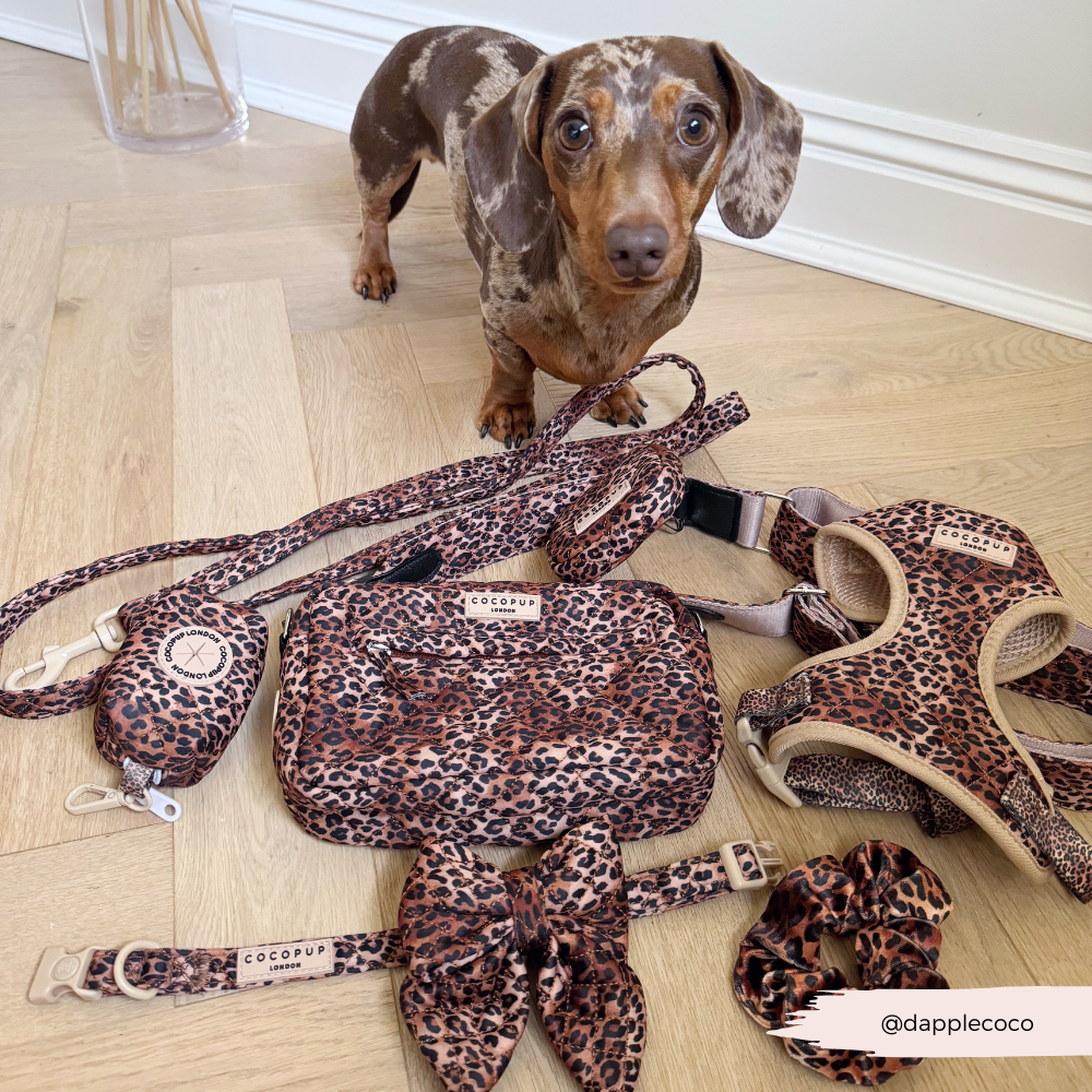 Sac de promenade pour chien - Léopard matelassé