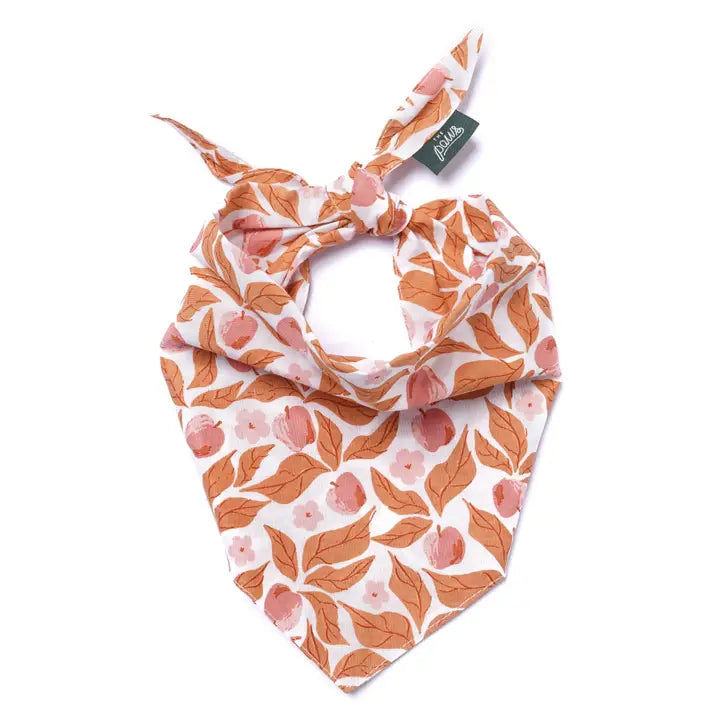 bandana automnal pour chien coton motif feuilles