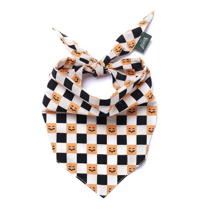 bandana halloween pour chien motif citrouille the paws