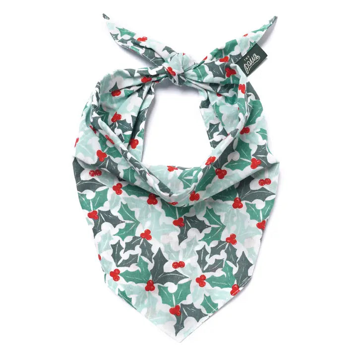 bandana de noël pour chien motif houx the paws
