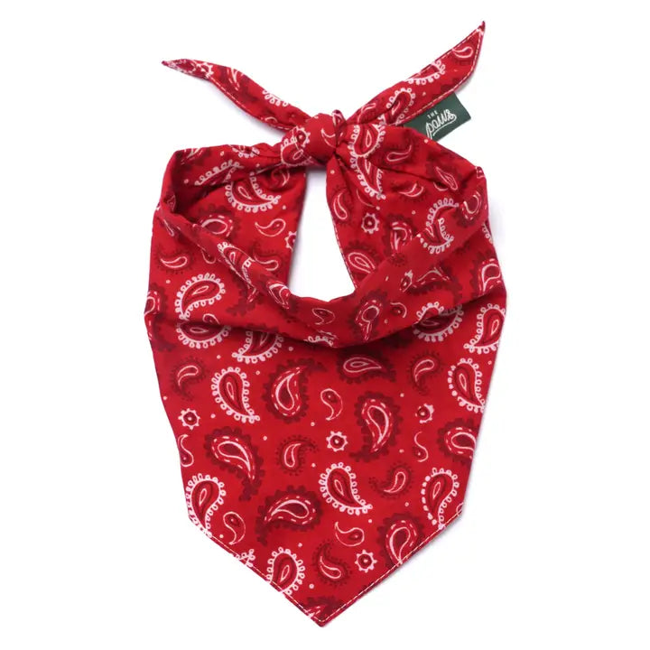 bandana pour chien paisley rouge the paws