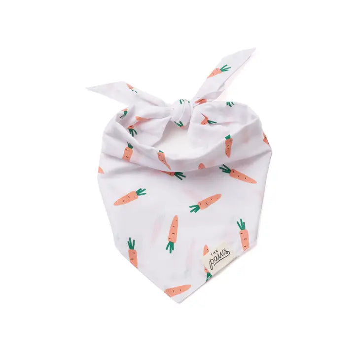Bandana pour chien motif carottes The Paws, spécial Pâques et printemps