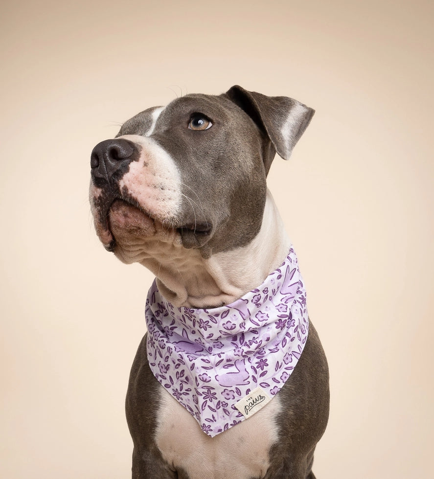 Bandana pour chien Lapin The Paws, motif lapins et fleurs spécial Pâques