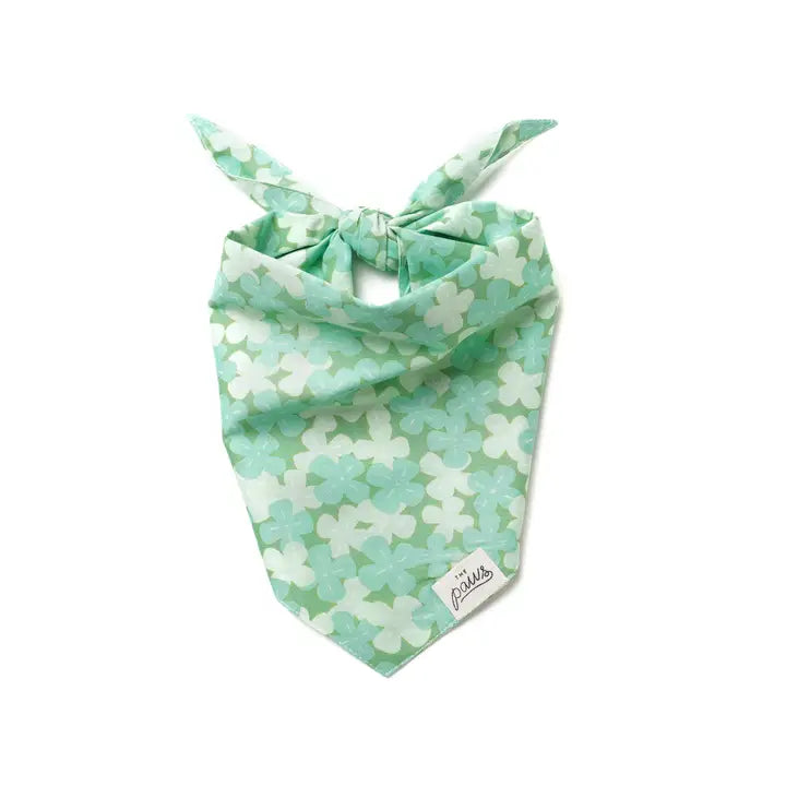 Bandana vert Clover pour chien, The Paws, spécial Saint-Patrick, 100% coton