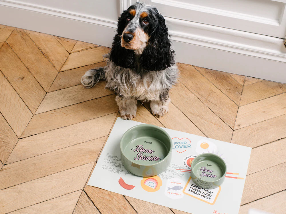 Gamelle en céramique pour chien et chat verte de la marque BANDIT