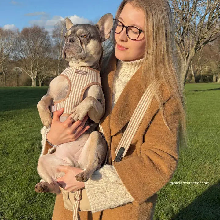 Bandoulière pour sac réglable London Linen CocoPup London – CocoPup London – DOG DéliCAT