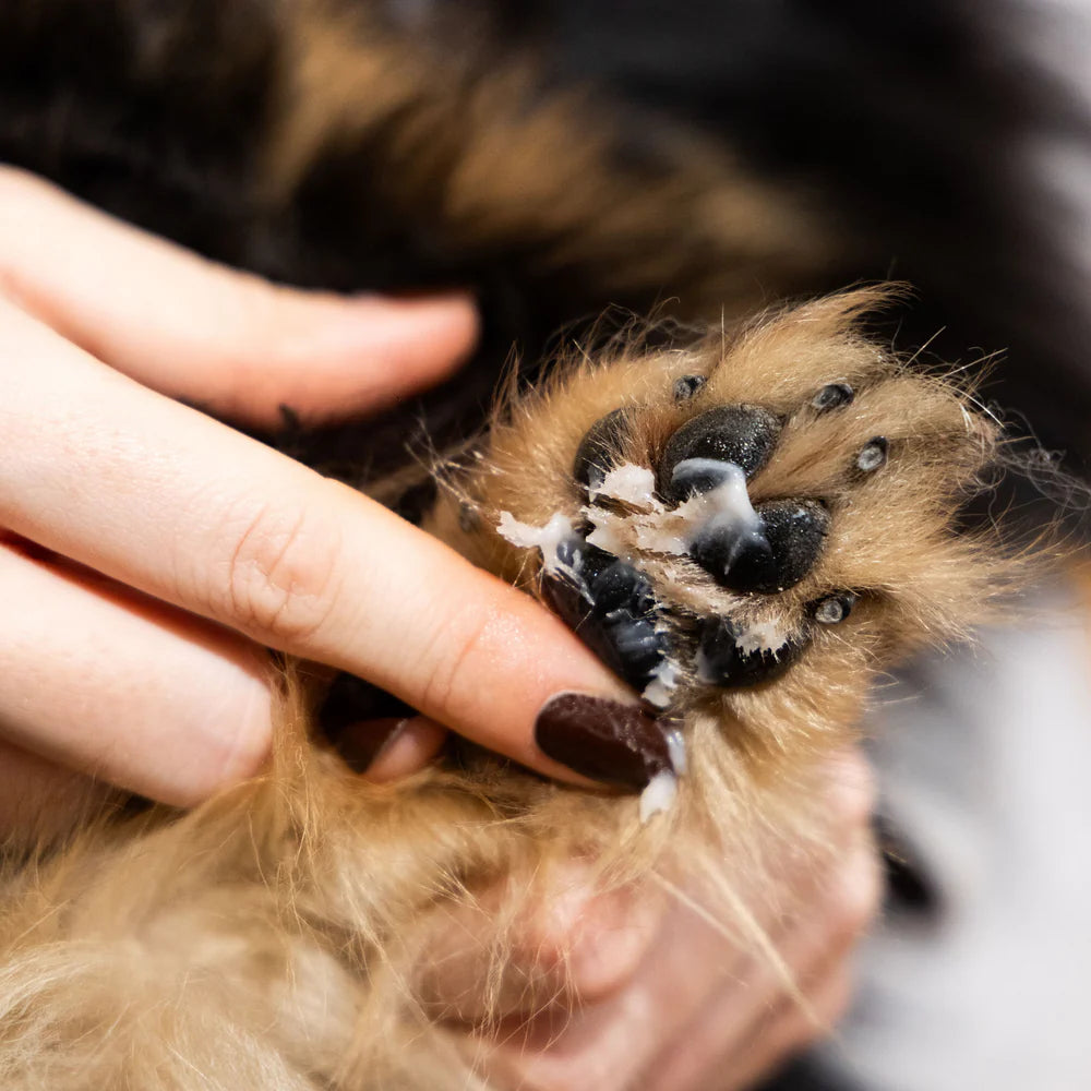 Baume hydratant Fur Love pour chiens, idéal pour réparer et protéger les coussinets, la truffe et les zones sèches.