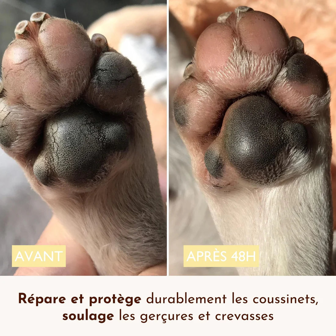 Le Doux Coussinets - Baume naturel protecteur pour chiens