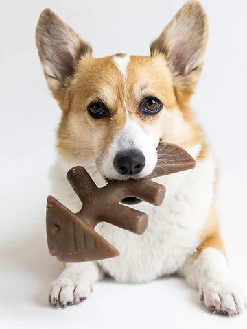 Offrez à votre chien des heures de mastication avec ce jouet infusé de véritable Saumon Jack