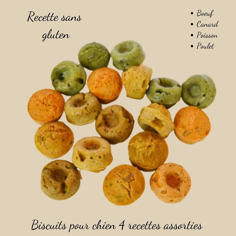 Biscuits naturels pour chiens Crocandiz – Assortiment 5 recettes bio