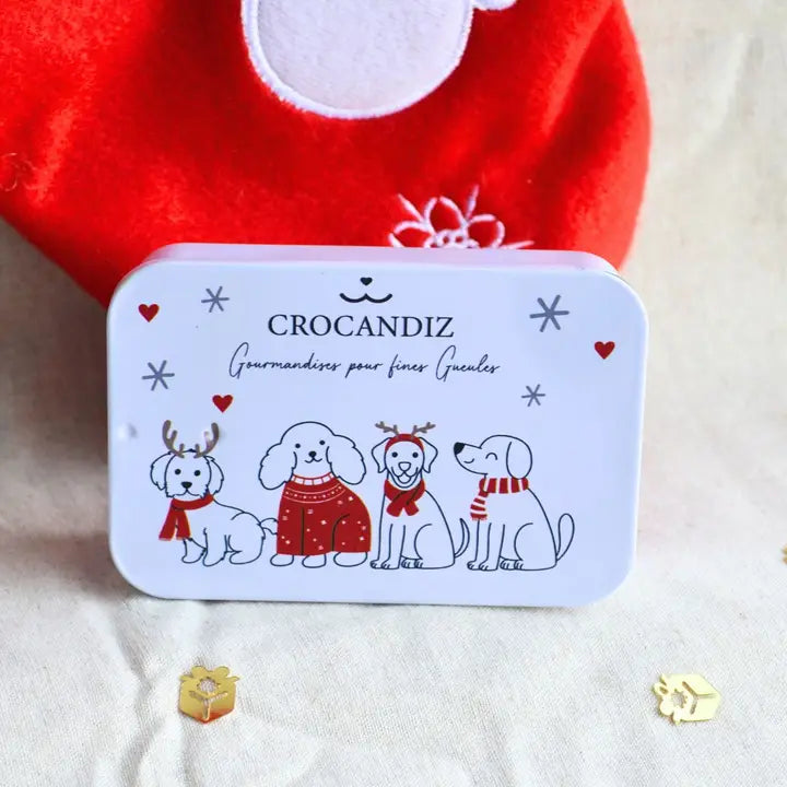 boîte blanche de noël pour chien biscuits naturels