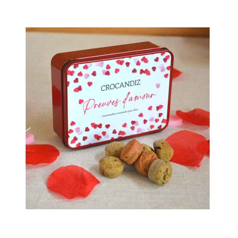 Boîte en métal décorée avec biscuits naturels pour chiens - Crocandiz