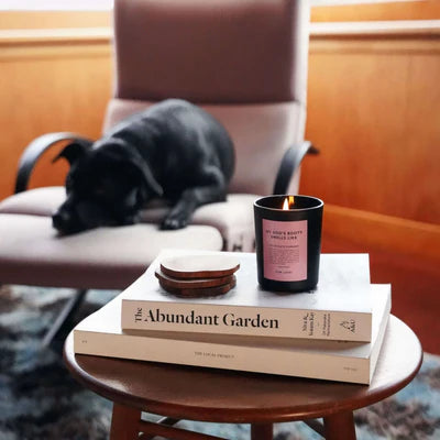 Bougie gourmande Fur Love "My Dog's Booty Smells Like...", au chocolat, caramel et crème fouettée, pour une expérience olfactive sécurisée.