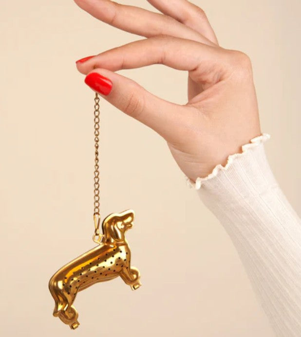 Collection boule à thé teckel chien - DOG DÉLICAT