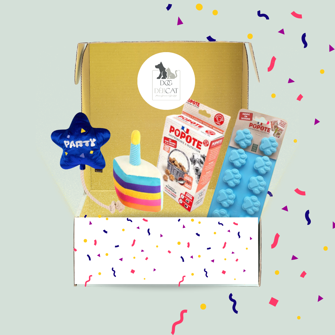 Box Anniversaire pour Chien de Wouf - Idée Cadeau pour Petits Chiens | DOG DELICAT