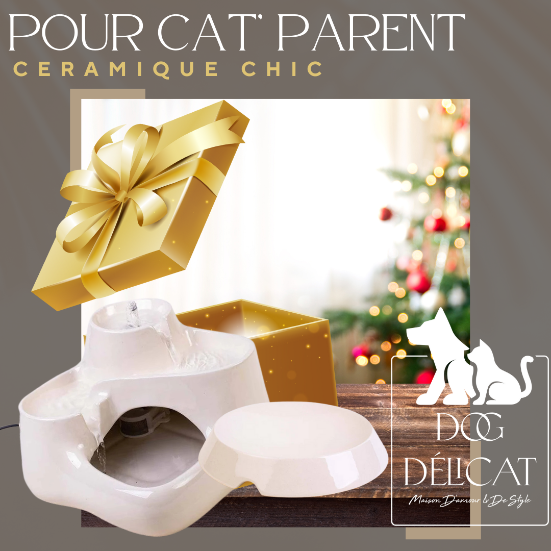 Box Cadeau pour les CAT'Parent : fontaine en céramique (couleur lait) et gamelle parabolique pour chat, design élégant et pratique.