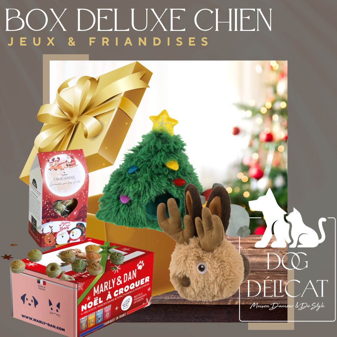 Box Deluxe pour chien avec coffret de friandises Marly & Dan, biscuits de Noël Crocandiz, jouet interactif Sapin de Noël et peluche Renne festif.