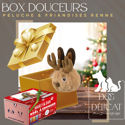 Box de Noël pour chien avec peluche Renne Rudolph et coffret de friandises naturelles Marly & Dan, idéale pour un Noël ludique et gourmand.