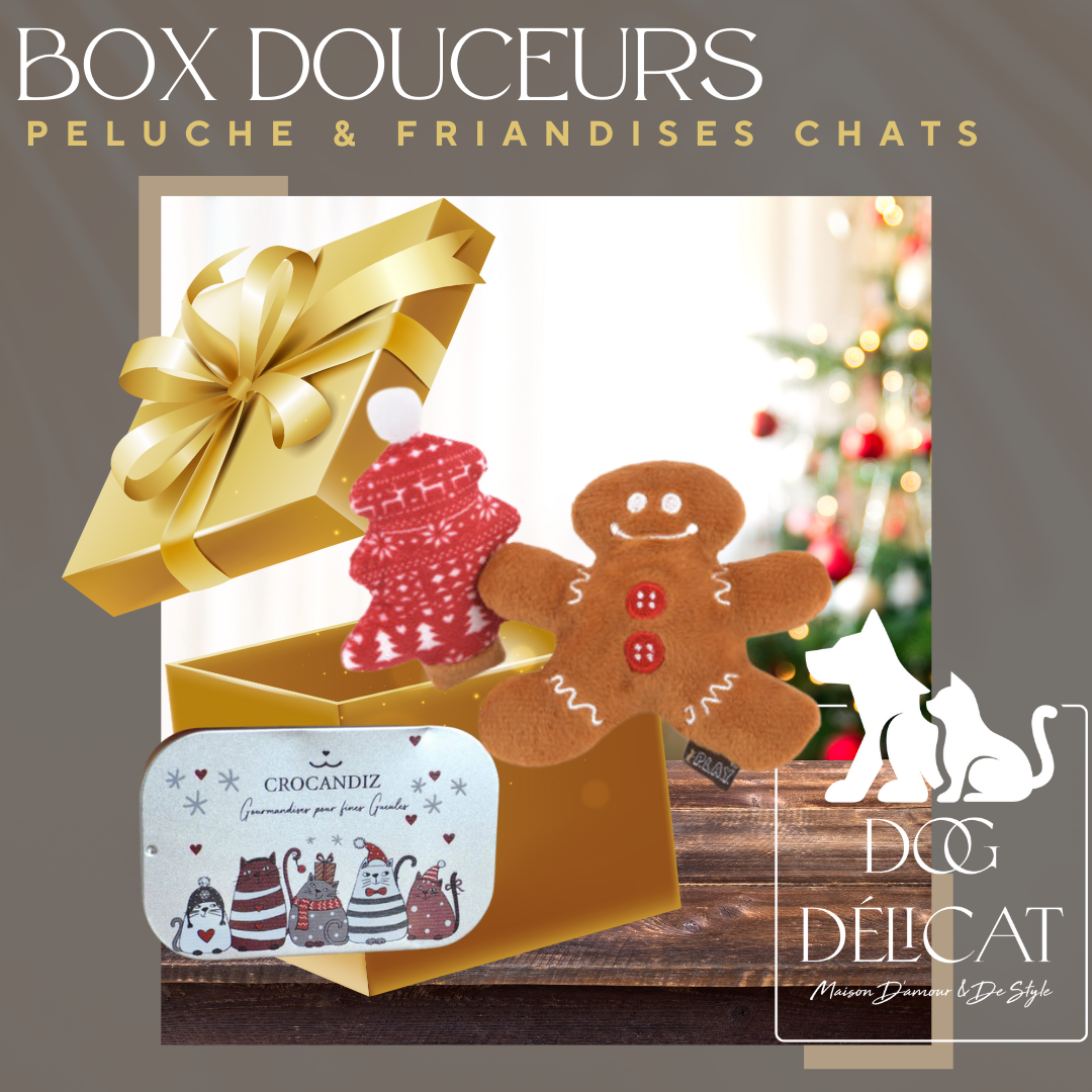 Box de Noël pour chat avec duo de jouets Pain d’Épices & Sapin de Pet PLAY et friandises Crocandiz en boîte festive.