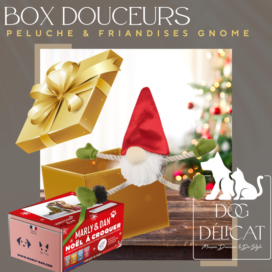 Box de Noël pour chien contenant une peluche Gnome Willow’s Mythical et des friandises naturelles Marly & Dan, idéale pour un Noël ludique et gourmand.