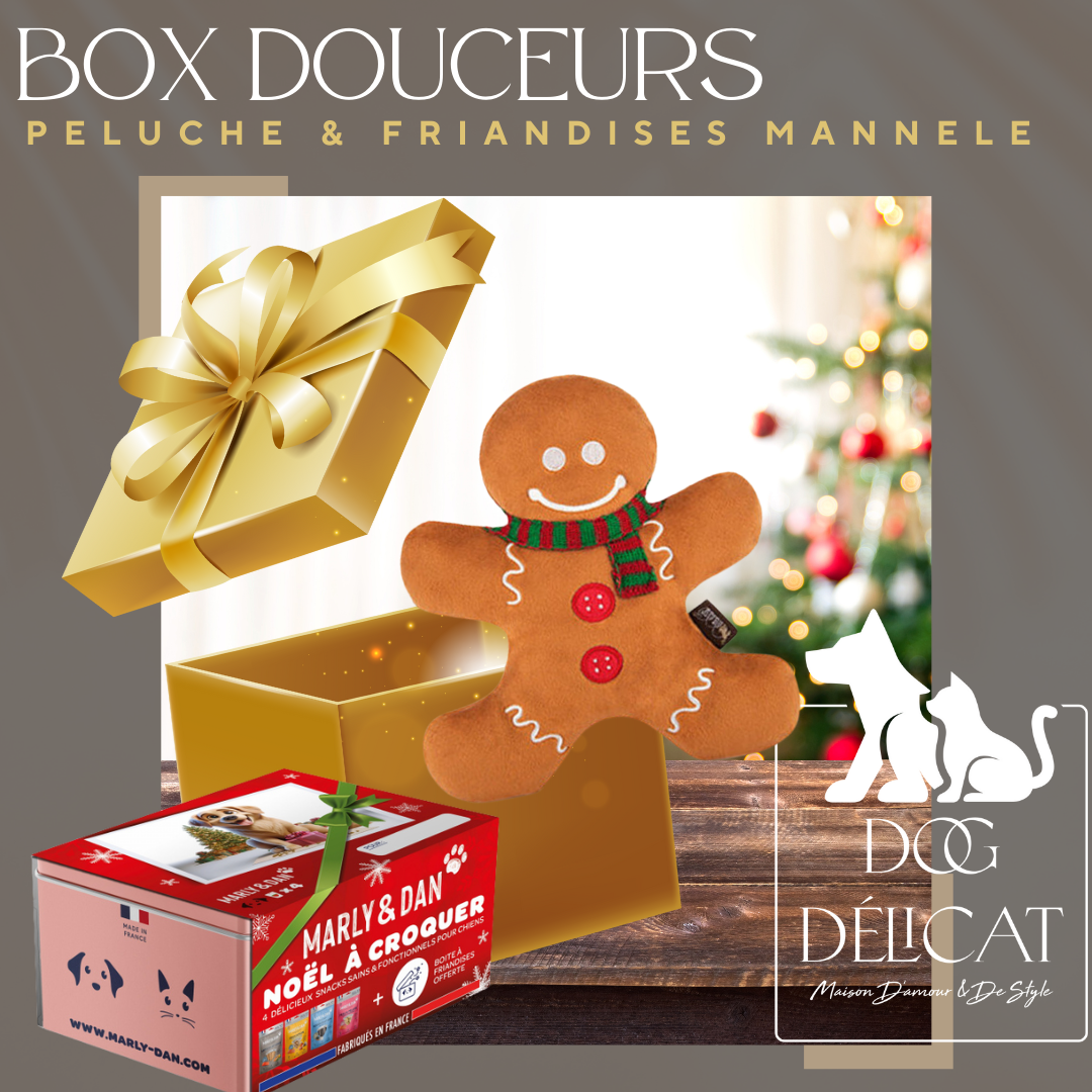 Box de Noël pour chien avec une peluche Holiday Classic Pain d'Épice de Pet PLAY et des friandises naturelles Marly & Dan, parfaite pour un Noël festif.