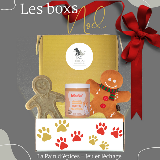 Box de Noël pour Chiens Pain d'épices - Jouet et Léchage