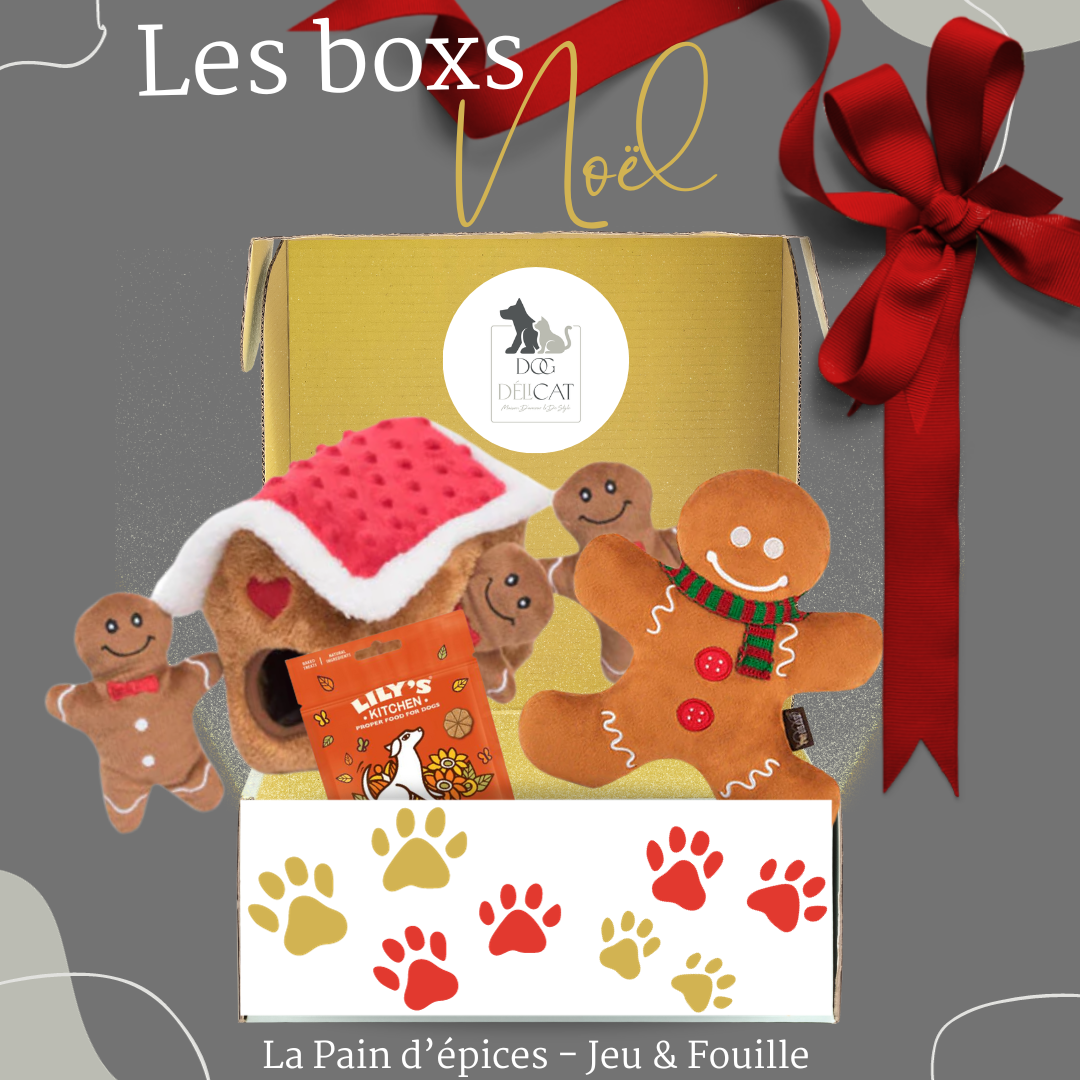Box de Noël pour Chiens Pain d'épices - Jeu et Fouille