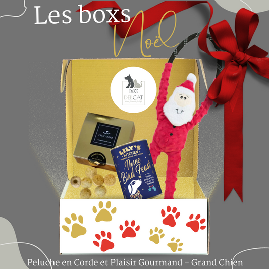 Box de Noël pour Chiens - Peluche en Corde et Plaisir Gourmand - Grand chien