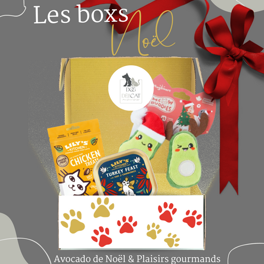 Box de Noël pour Chats - Jouets et Friandises pour des fêtes félines joyeuses