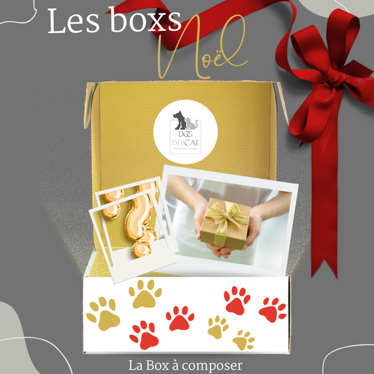 Box de Noël à composer pour chiens et chats - DOG DELICAT