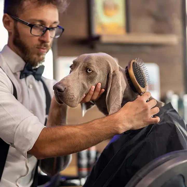 Brosse double faces pour chien Barbershop de Croci avec poignée ergonomique en caoutchouc antidérapante.