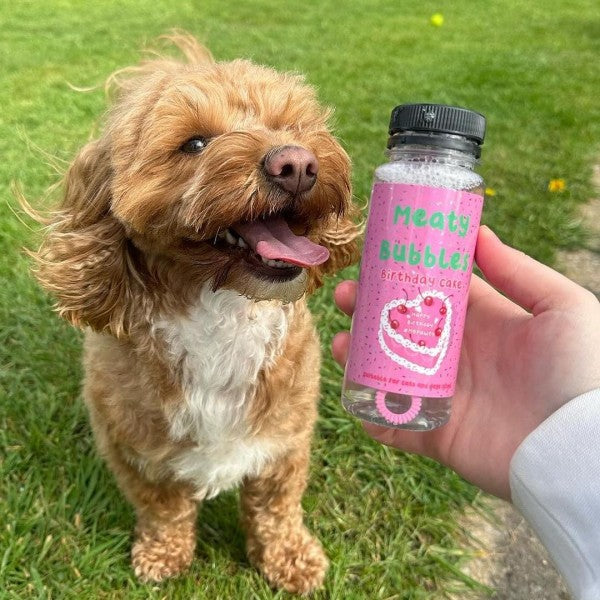 Bulles aromatisées Meaty Bubbles pour chiens et chats avec flacon de 150 ml et baguette à bulles