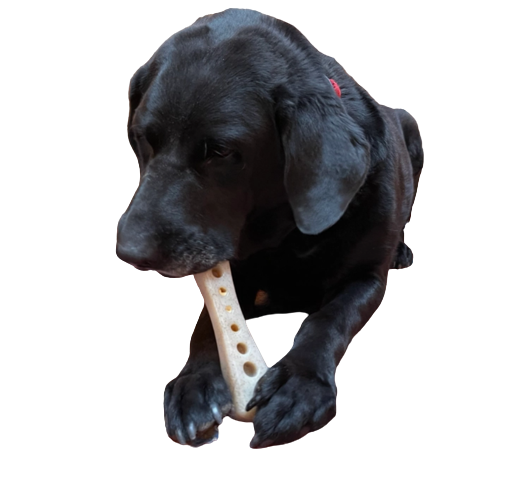 Jouet Os  à mâcher pour chien en nylon