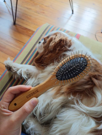 Brosse en Bois Double Face