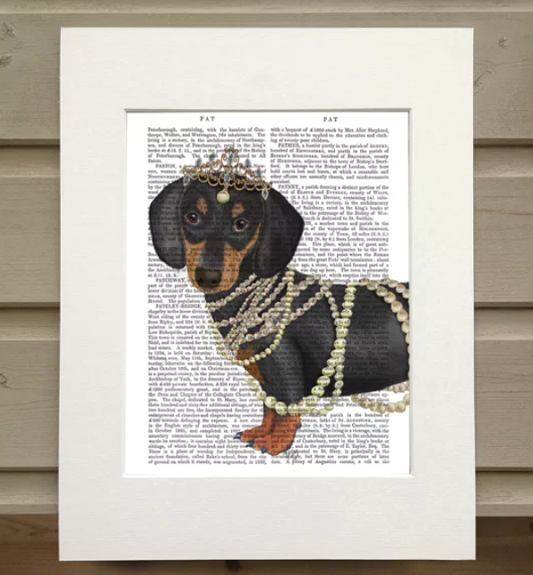Teckel à bijoux - Illustration d'art pour décoration murale