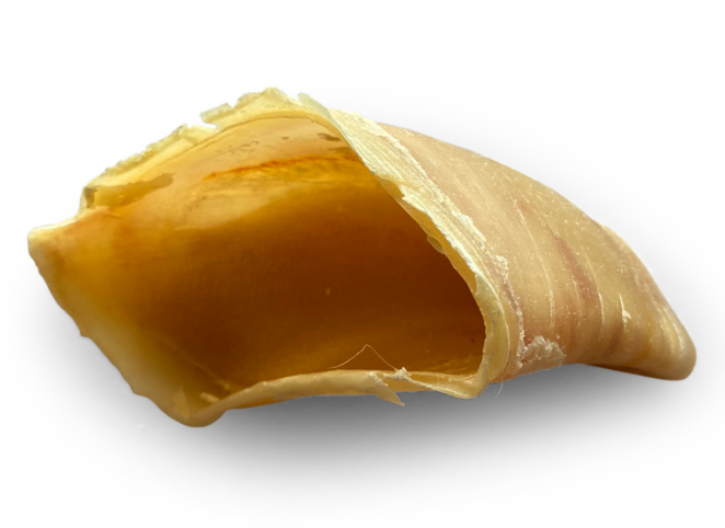 Sabots de veau Wouandise - Friandises naturelles pour chiens.