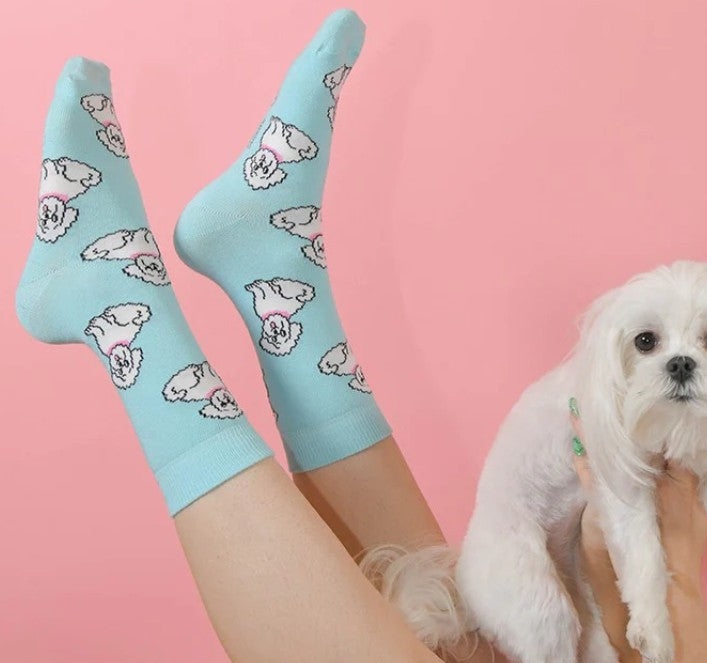 chaussettes chien bichon idée cadeau